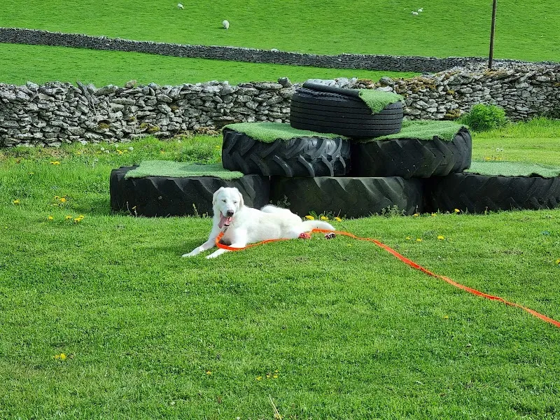 Grassgarth Boarding Kennels