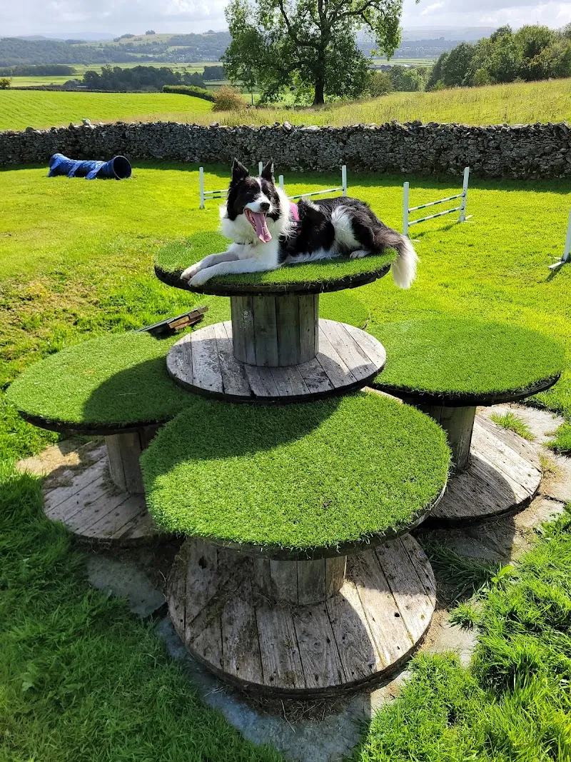 Grassgarth Boarding Kennels