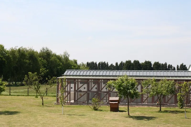 Appletree Cattery