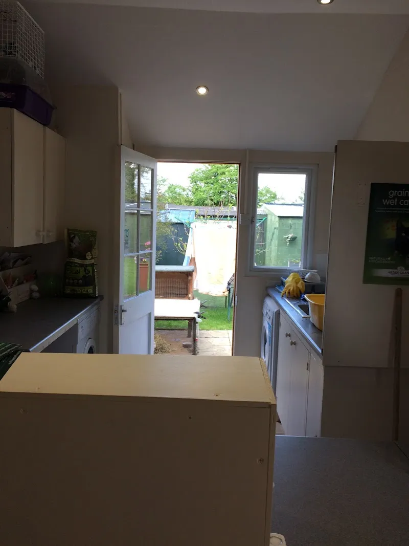 Just For Cats Cattery