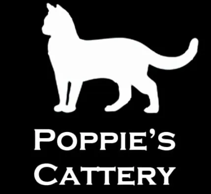 Poppie's Cattery, Lewes - Photo 1 of 3