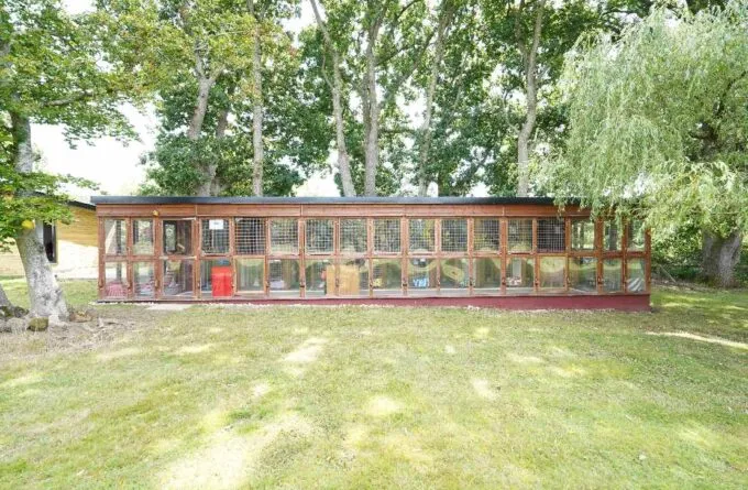 Poppie's Cattery, Lewes - Photo 3 of 3