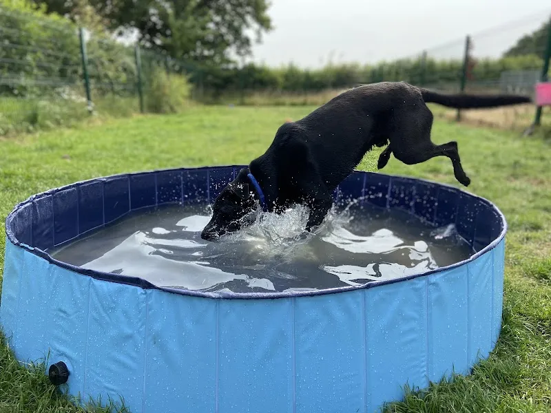 Rushmere Boarding Kennel and Cattery