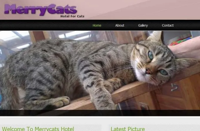 Merrycats Hotel, Maidstone - Photo 2 of 2