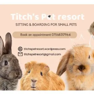 Titch's Pet Boarding Resort, Redditch - Photo 1 of 3