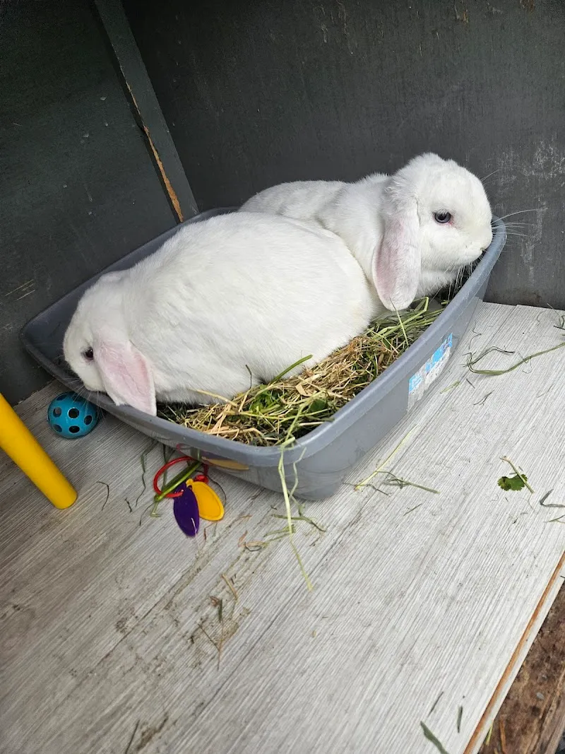 Titch's Pet Boarding Resort