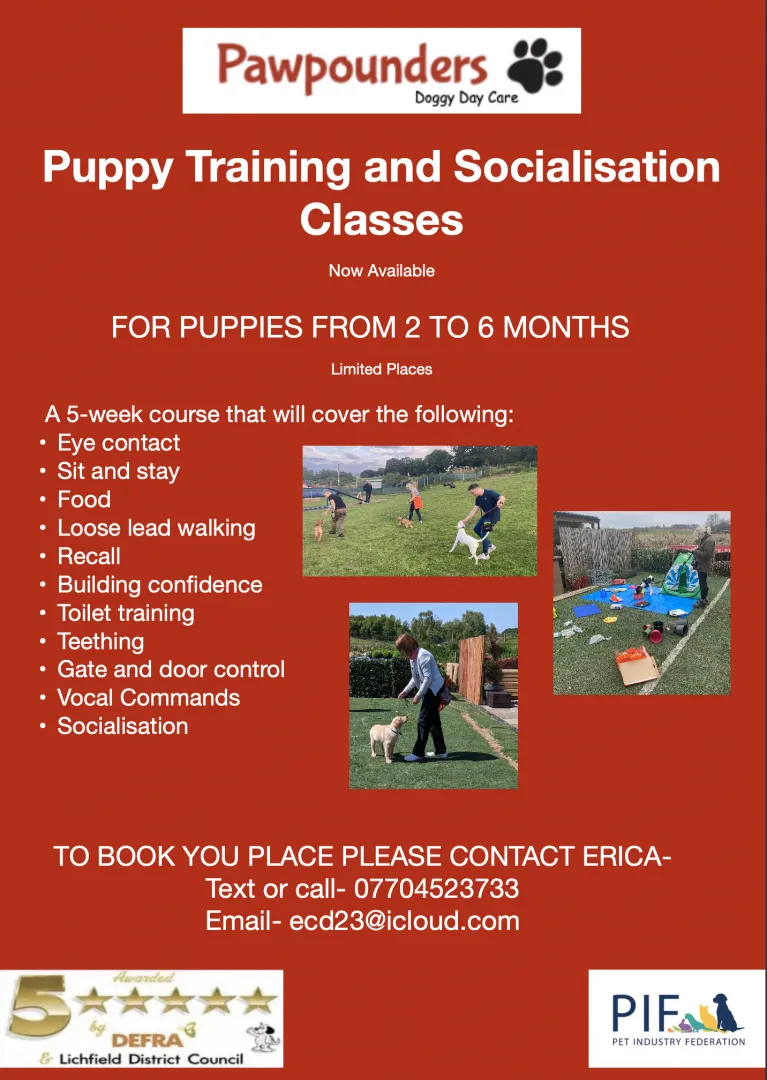 Pawpounders Dog Daycare and secure fields Sutton Coldfield, Sutton Coldfield - Photo 2 of 2