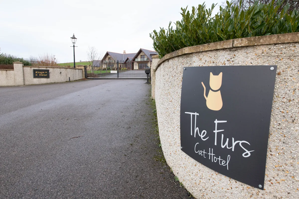The Furs Cat Hotel, Inverurie - Photo 2 of 2