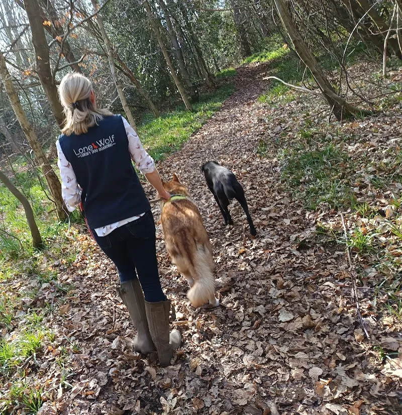 Lone Wolf Luxury Dog Boarding