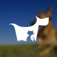 Wharf Cottage Boarding Kennels & Cattery, Alfreton - Photo 3 of 3