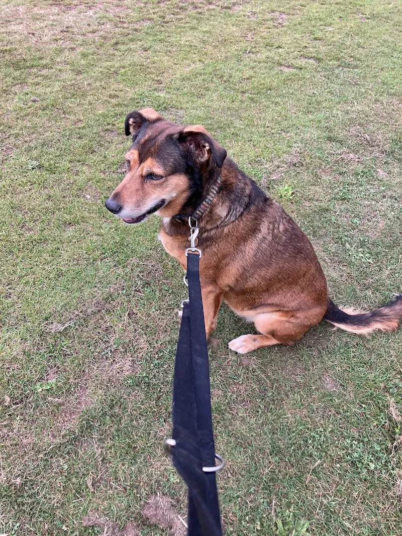 Wharf Cottage Boarding Kennels & Cattery