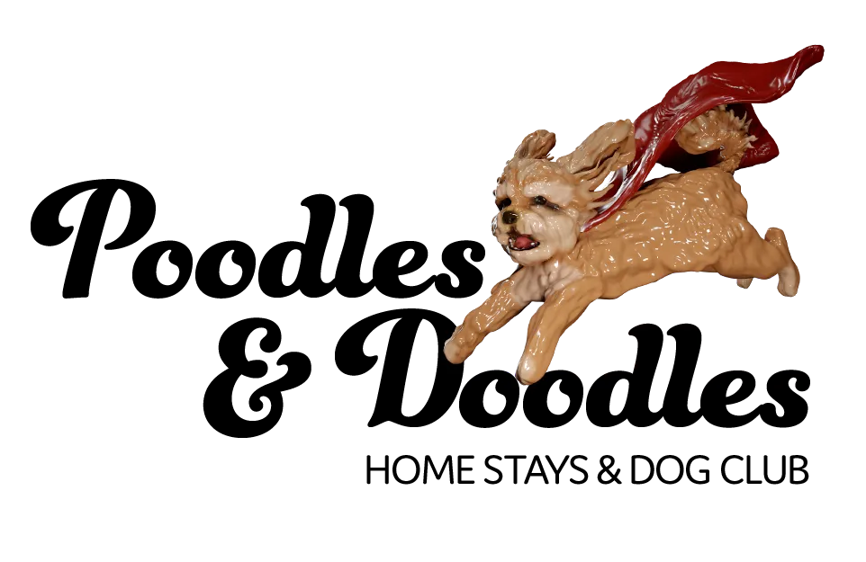 Poodles & Doodles Home Stays, Milton Keynes - Photo 3 of 3