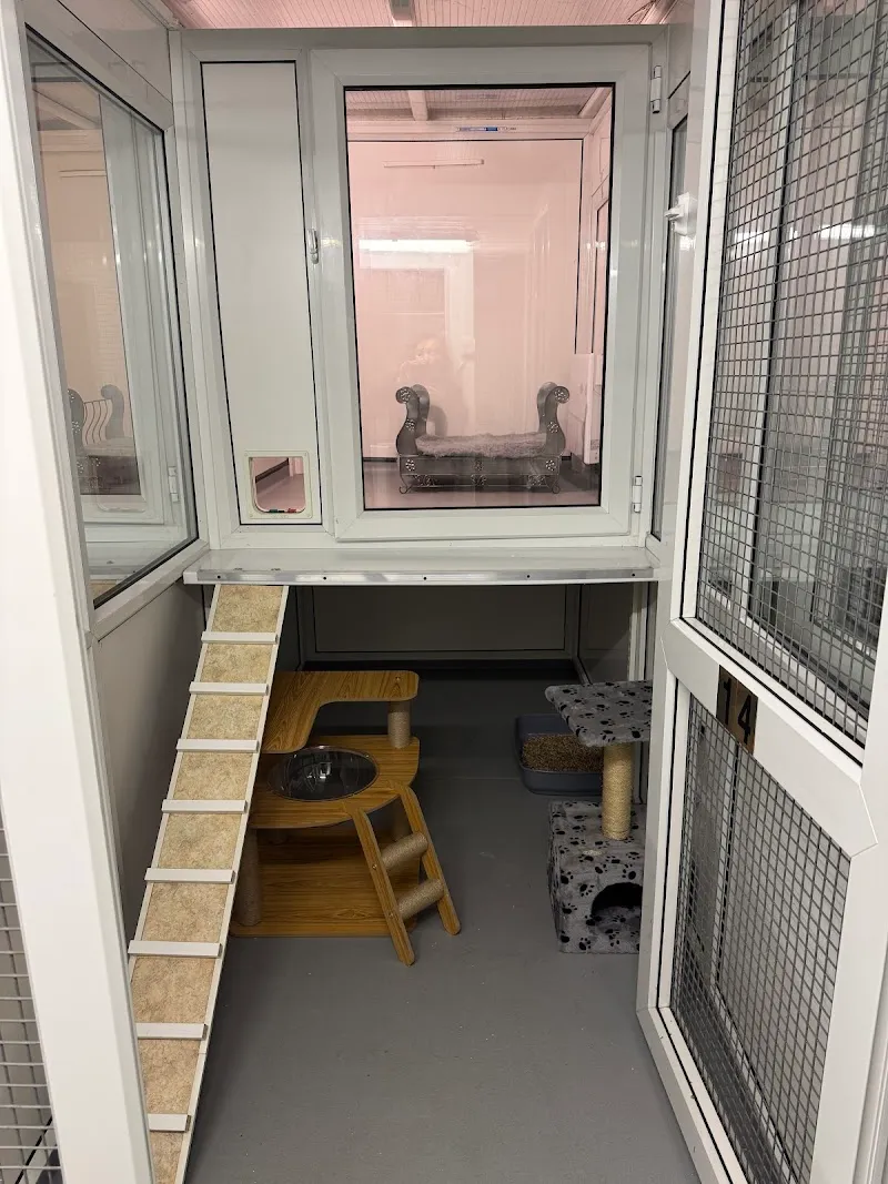 Platinum cat hotel 5* luxury cattery