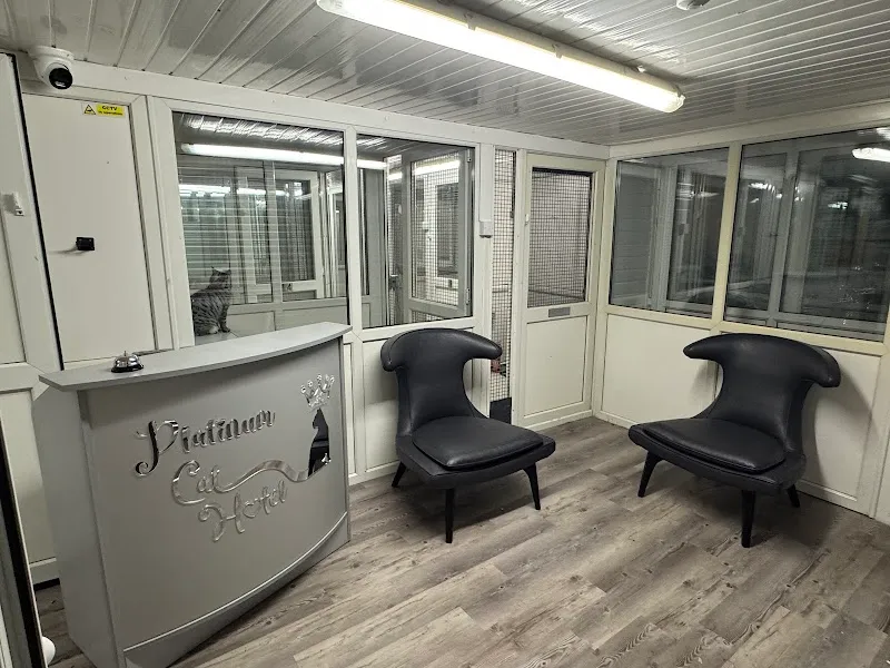 Platinum cat hotel 5* luxury cattery
