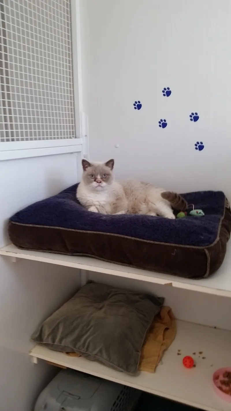 Ardsley Boarding Kennels & Groom Room