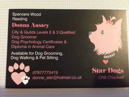 Star Dogs, Reading - Photo 1 of 2