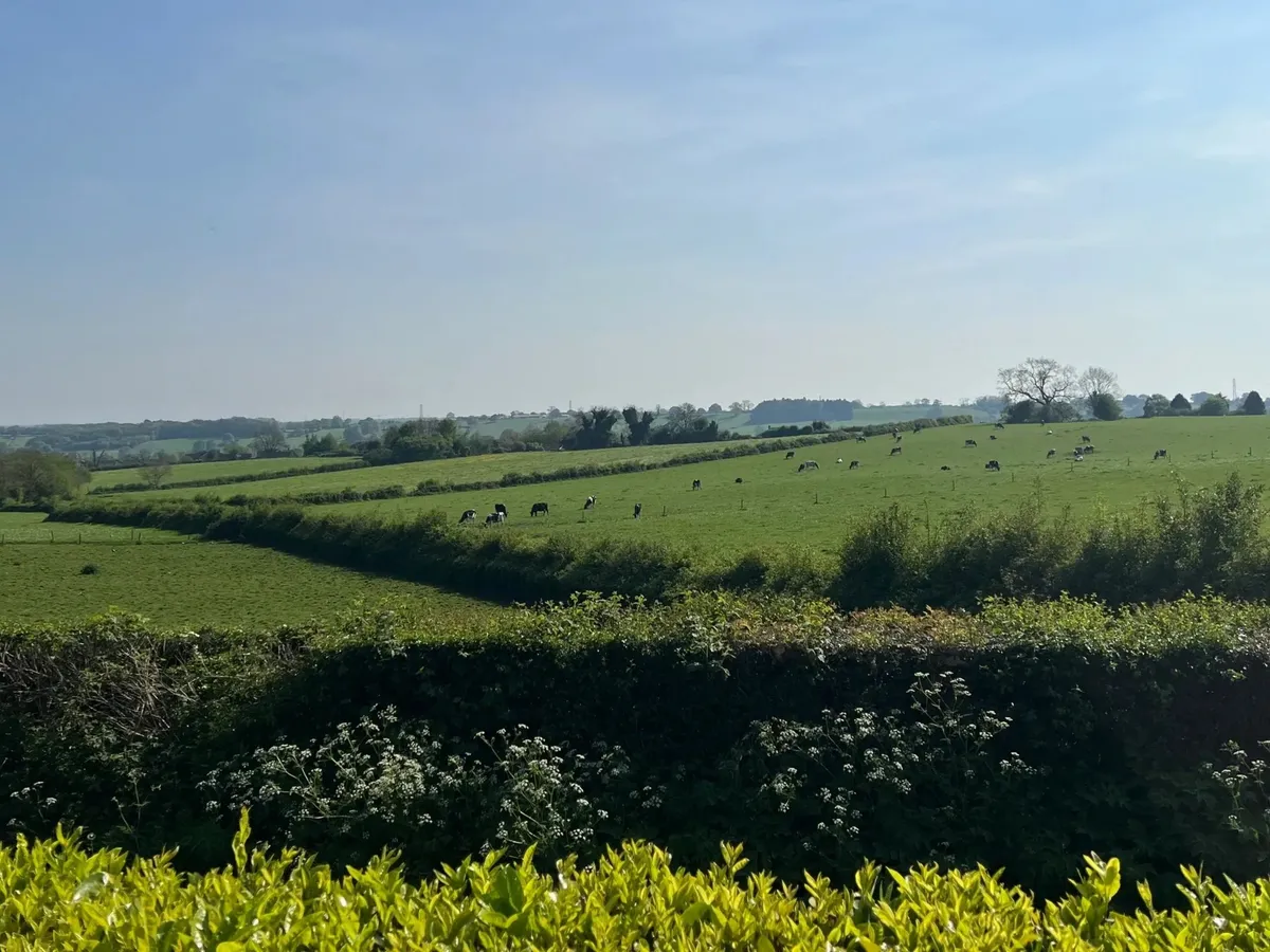 Gorsty Hill Cattery, Stoke-on-Trent - Photo 2 of 2