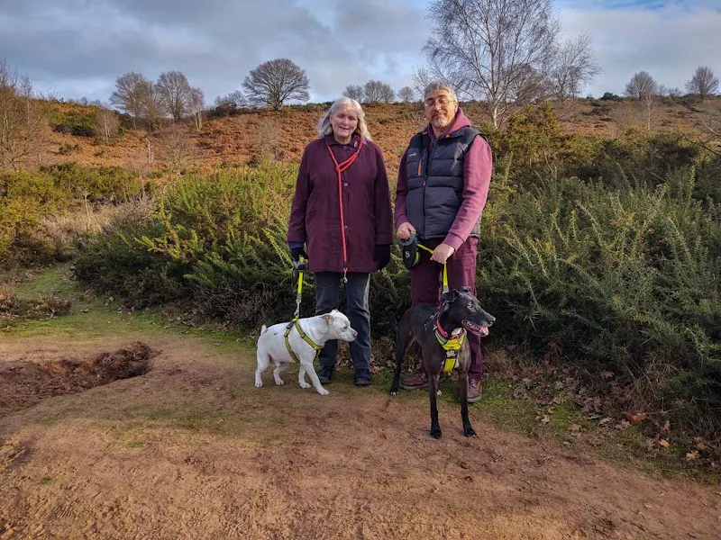 Muddy Paws Dog Boarding Ltd