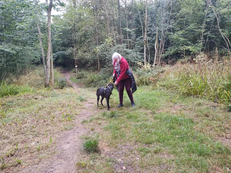 Muddy Paws Dog Boarding Ltd