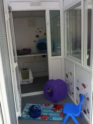 Clarence’s Cattery 5 star awarded by Bucks County Council, Aylesbury - Photo 1 of 3