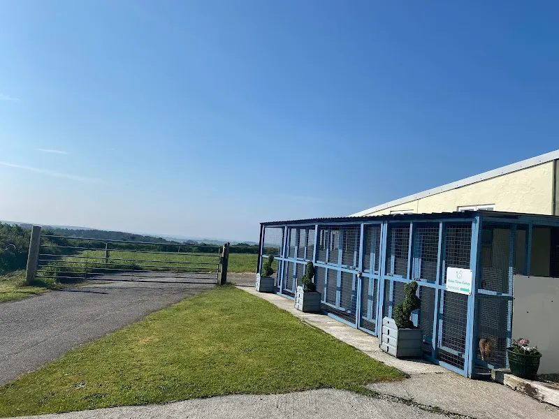 Lodge Farm Cattery