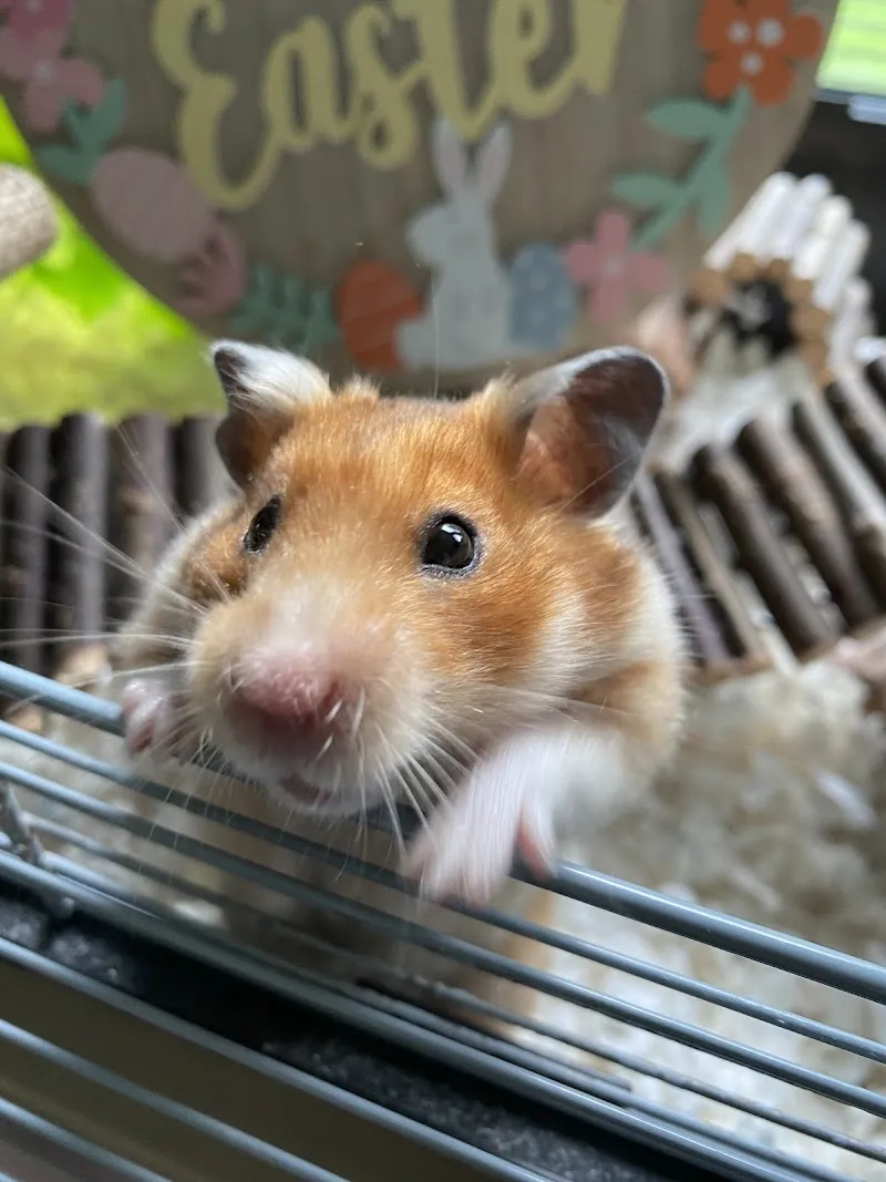 Willow Grove Small Animal Boarding