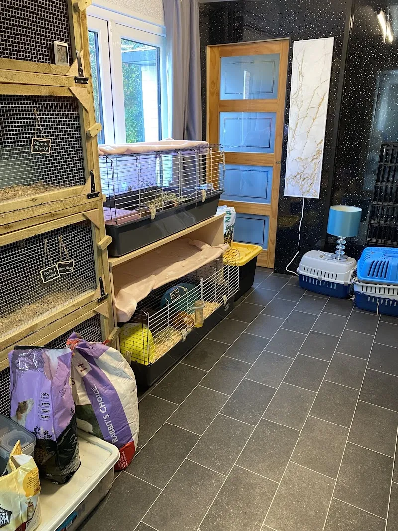 Willow Grove Small Animal Boarding