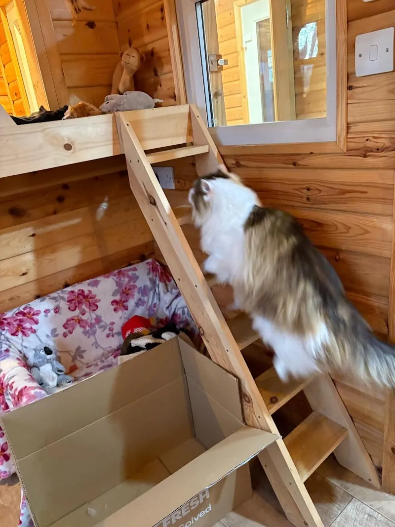 Woodland Nook Boarding Cattery