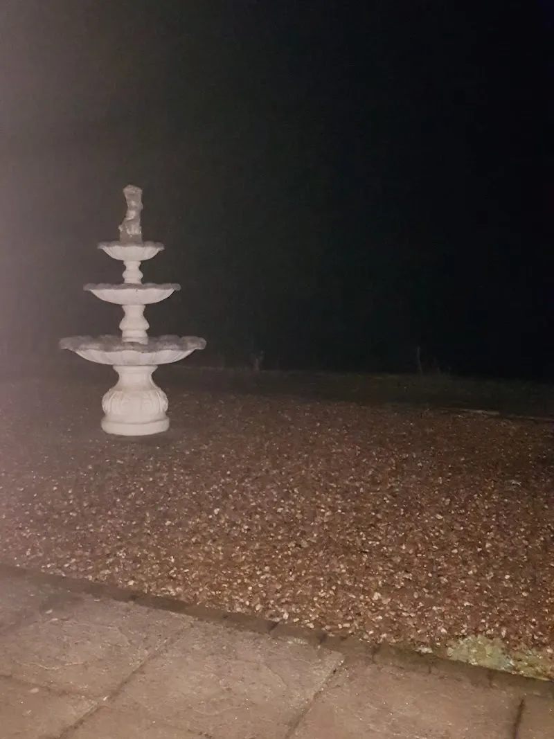 The Firs Kennels & Cattery