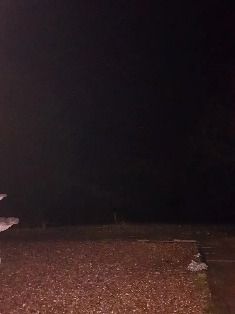 The Firs Kennels & Cattery