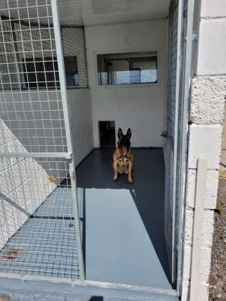 Hareshill Boarding Kennels, Heywood - Photo 1 of 3