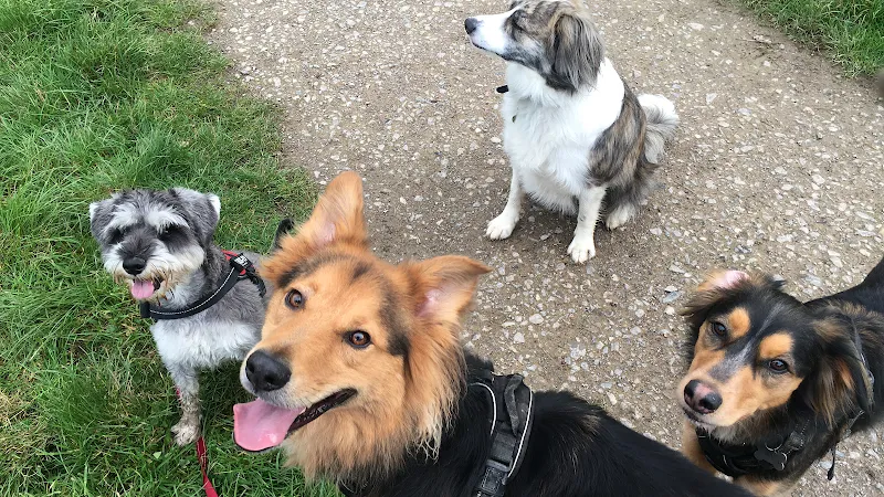 Horsham Pet Care - home-based day care, boarding & walking