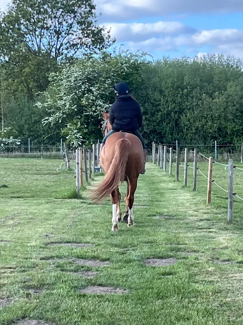Field View Equestrian C.I.C.