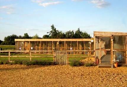 Cambria Farm Cattery, ELY - Photo 1 of 4