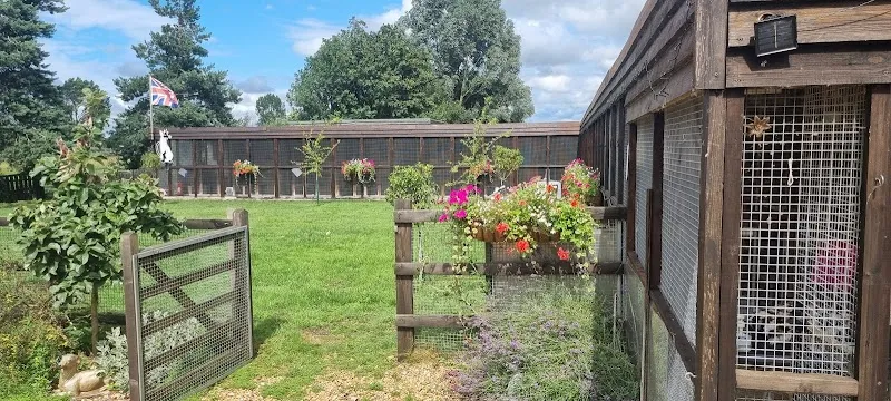 Cambria Farm Cattery