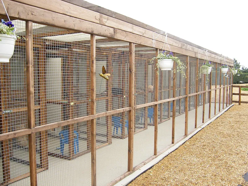 Cambria Farm Cattery