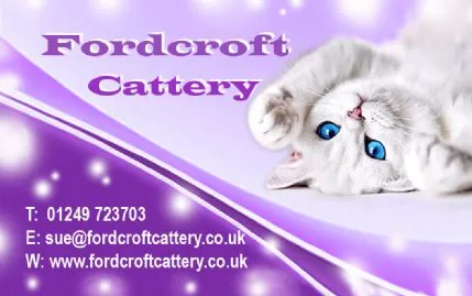 Fordcroft Cattery, Chippenham - Photo 1 of 2