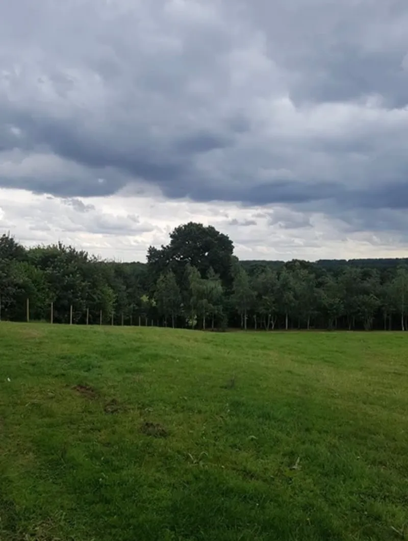 K9 Playtime Doggy Day Care