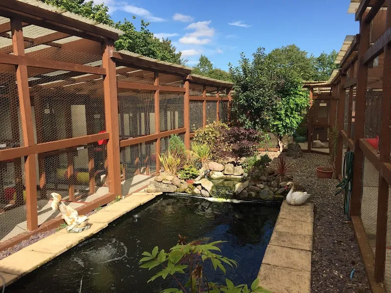 Blakeston Lodge Luxury Cattery