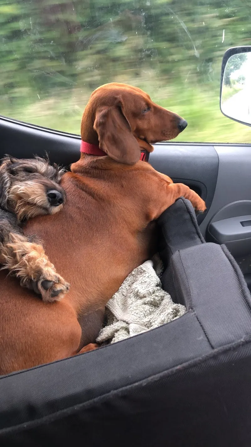 Paws and Claws Countryside Retreat