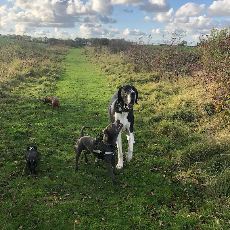 Paws and Claws Countryside Retreat