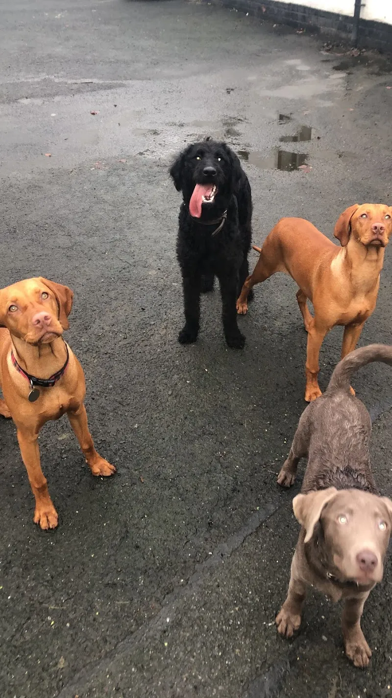 Paws and Claws Countryside Retreat