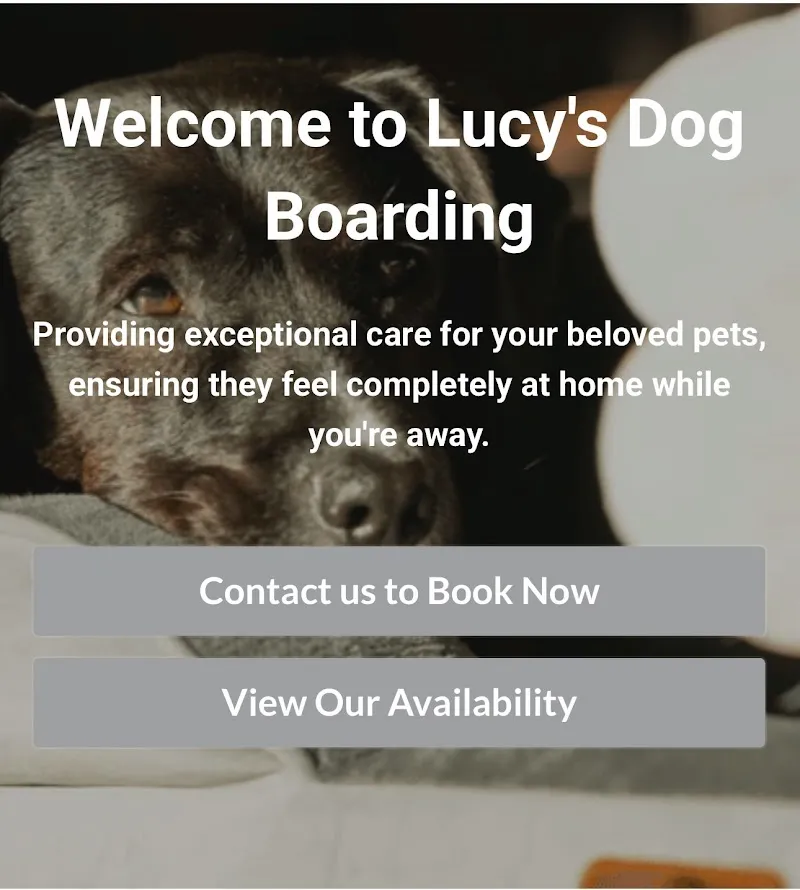 Lucy's Dog Boarding