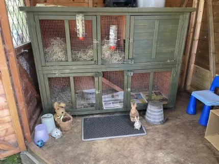 Small Paws Retreat, Bromley