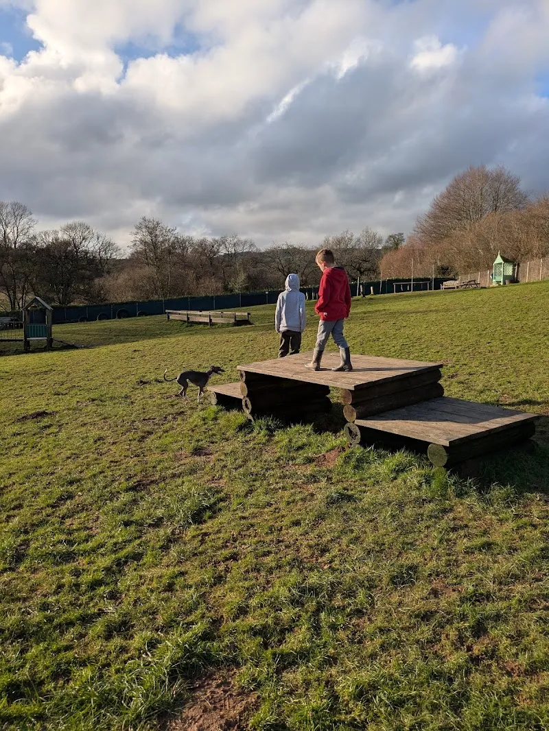 The Cwtch Animal Homestay