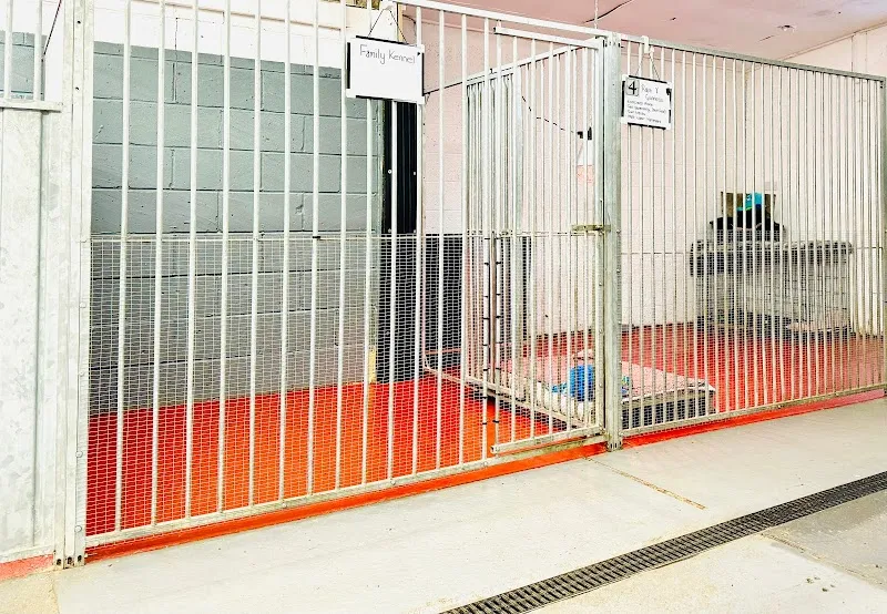 Luxury dog kennels
