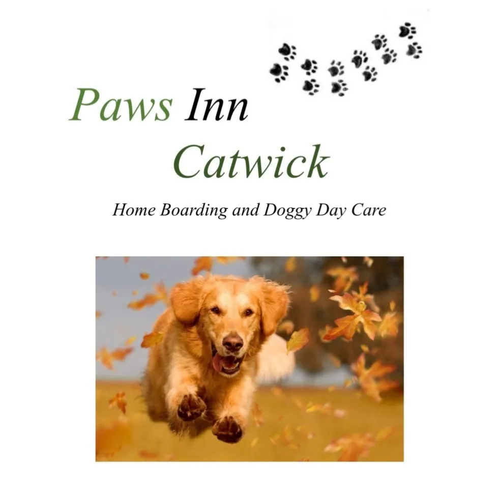 Paws Inn Catwick, Beverley - Photo 2 of 2