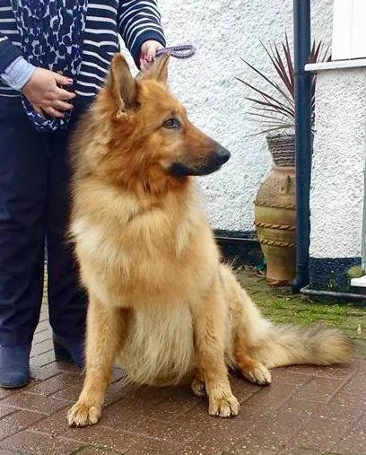 Nesslands of Burwell