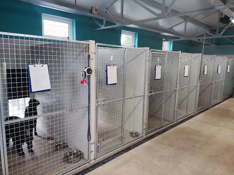 Peatlands Boarding Kennels