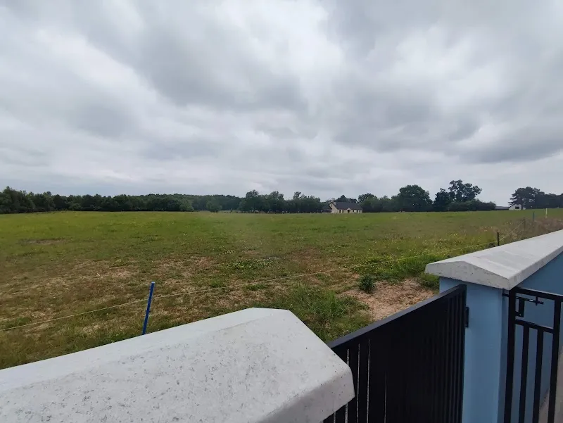 Peatlands Boarding Kennels